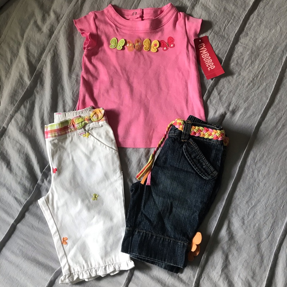Gymboree Butterfly Set